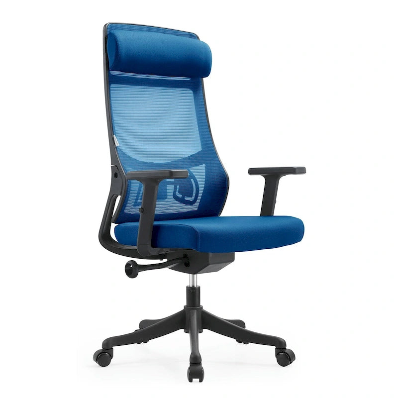 Ergonomic Mesh Back Office Chair with Adjustable Headrest and Armrests